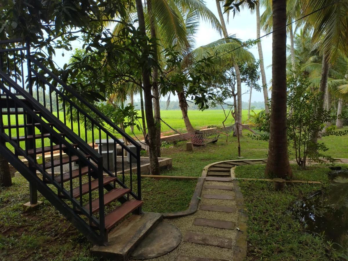Village Mango Resort Tissamaharama Exterior foto