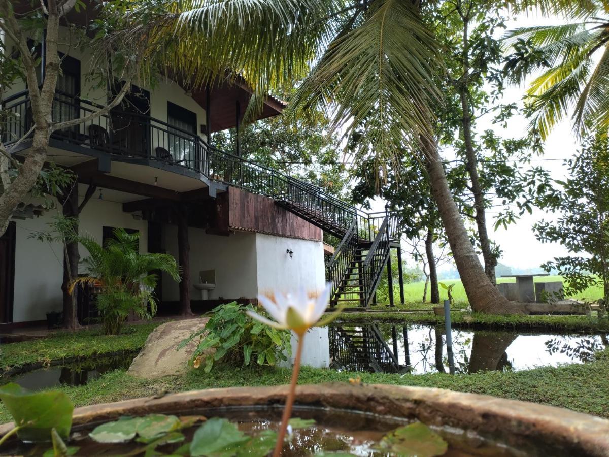 Village Mango Resort Tissamaharama Exterior foto